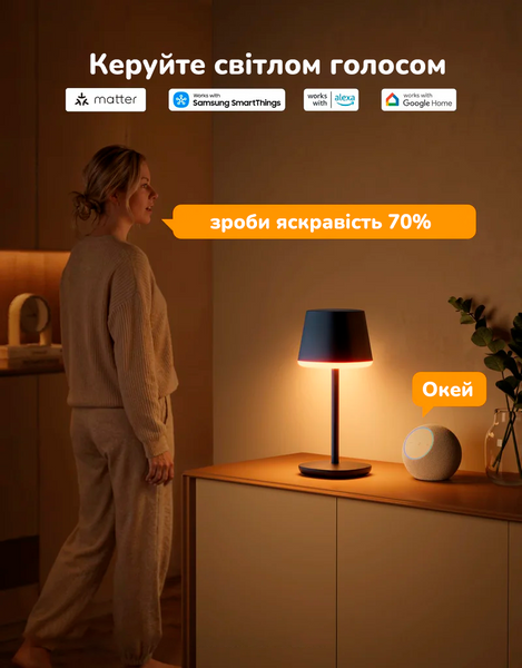 Умная беспроводная настольная лампа Govee Table Lamp Classic H1741 H1741 фото