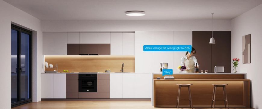 Розумний стельовий світильник Govee 12" Smart Ceiling Light RGBWW+RGBIC Wi-Fi/Bluetooth (H80A1C01) H80A1C01 фото