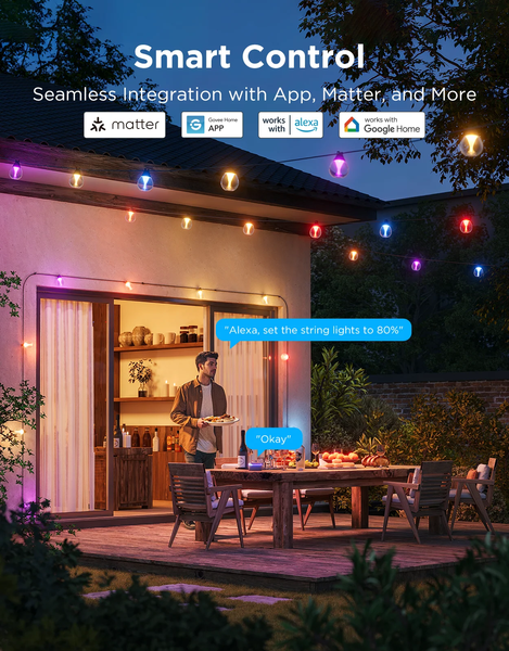 Розумна вулична гірлянда Govee Outdoor Clear Bulb String Lights 15м з прозорими лампочками, RGBWIC, IP67, Matter H7025 фото